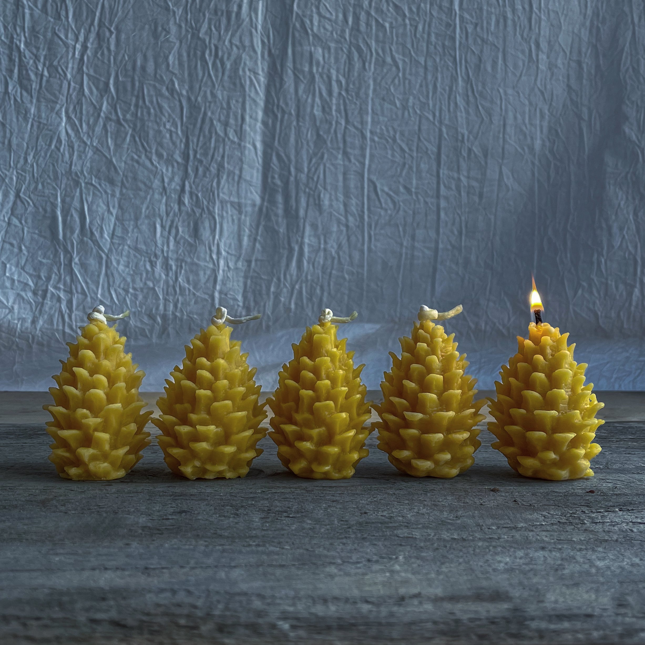 松ぼっくり〈蜜蝋キャンドル〉 | frill