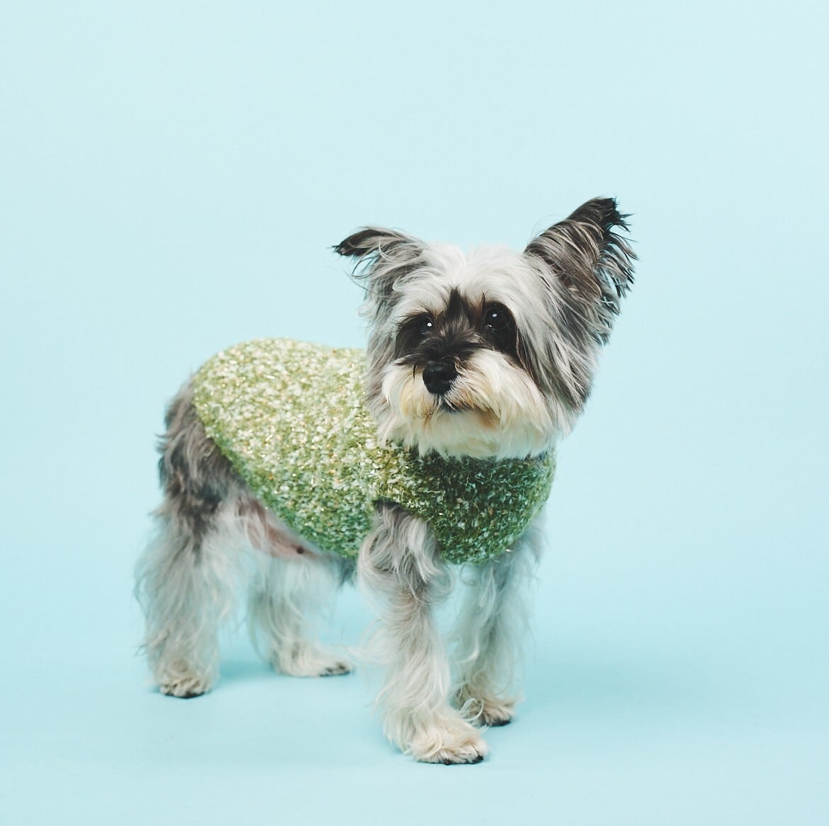 FANCY YARN TWEEDY KNIT-KHAKI