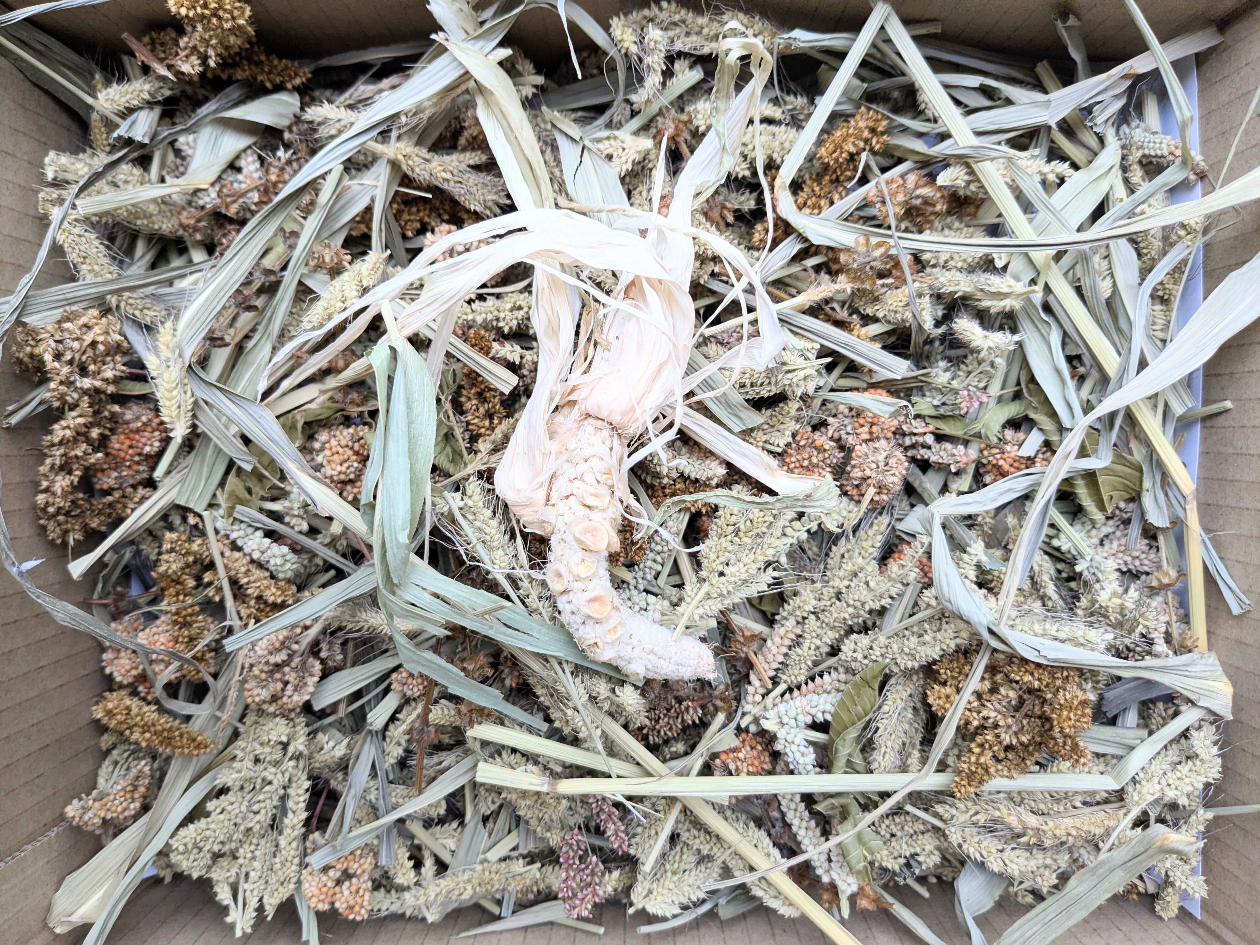 新 魅惑のフォレイジングBOX ドライ | 廣田農園 BASEストア 鳥部