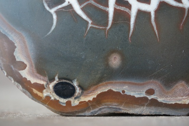 セプタリアン Septarian 1277