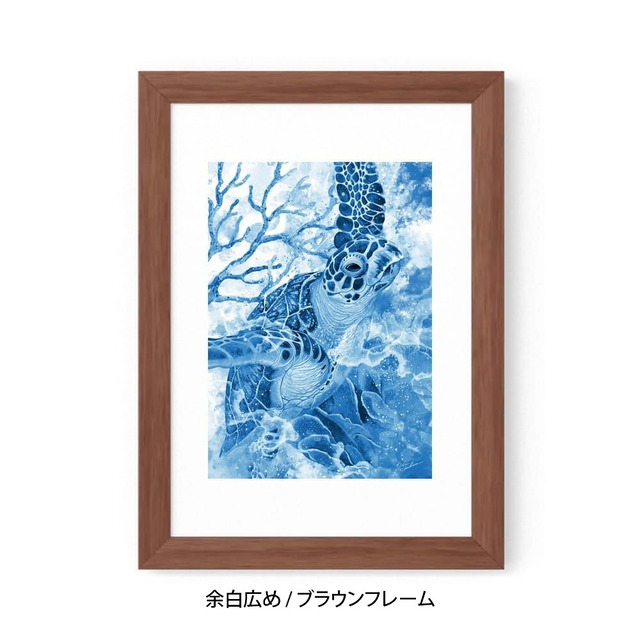 A5｜蒼海の海亀（フレームあり）