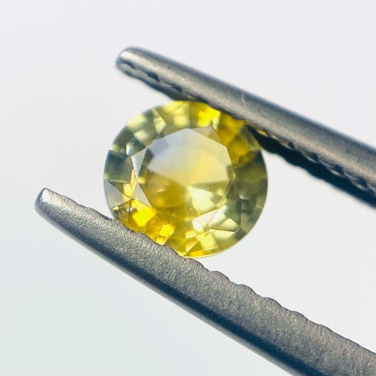 菜の花に青空　サファイア