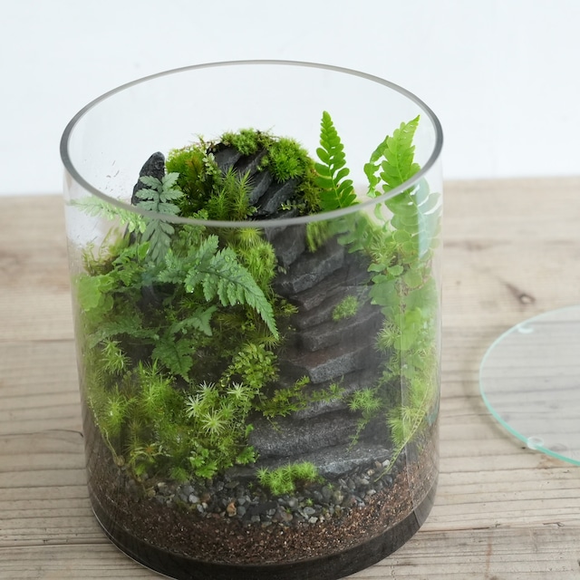 Premium Terrarium typeY-ancient ruins-【Premium限定販売】1.30＃5