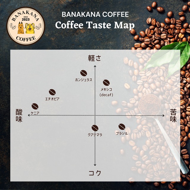 【ドリップバック5袋】フロレンシア ブルボン-グアテマラ