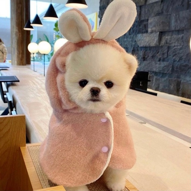 【即納】ふわふわうさぎポンチョ