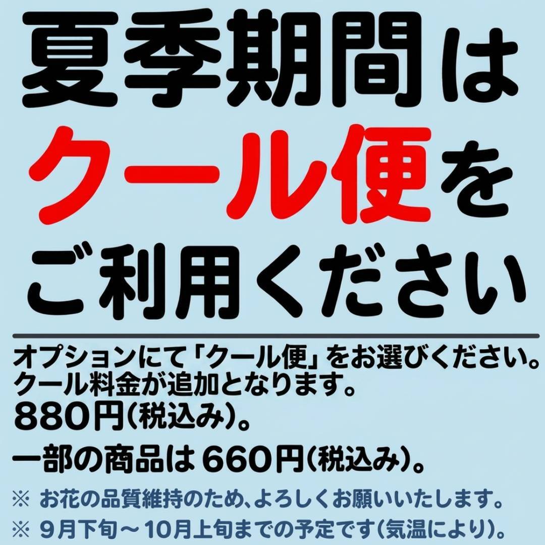【 お読みください 】6月上旬~9月下旬(予定)の期間は〈クール便〉を推奨しております。オプションにてお選びくださいませ。