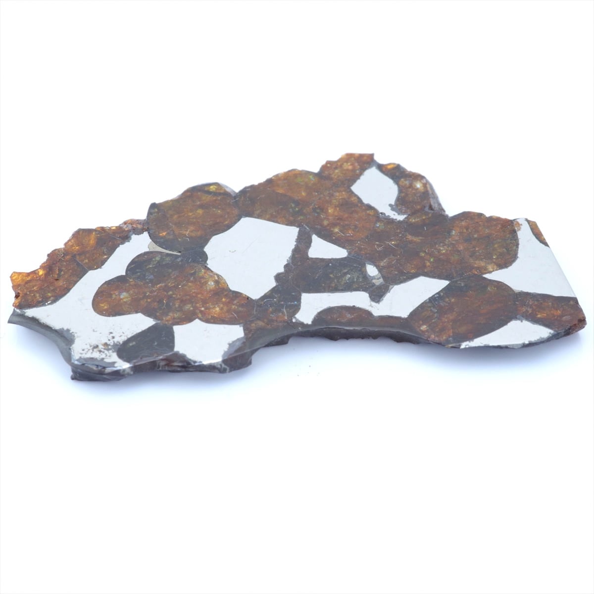 石鉄隕石 パラサイト | 隕石販売.jp