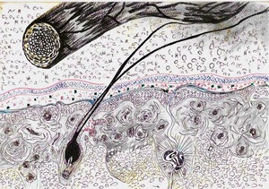 Indigenous bacteria and skin tissue drawn by Toshiki　20cm x 28cm ball pen drawing real