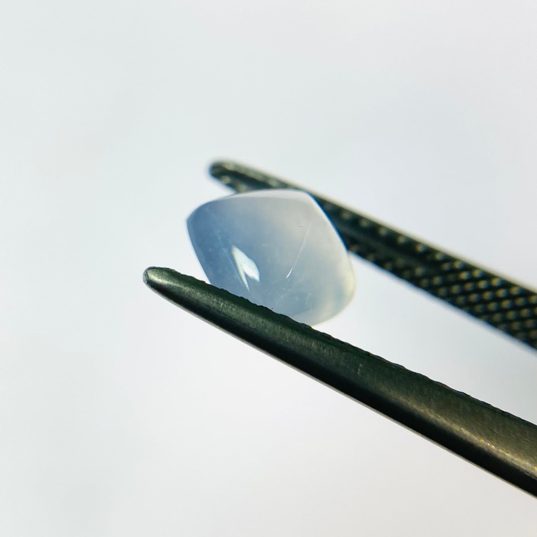 初売! シュガーローフ3色セット