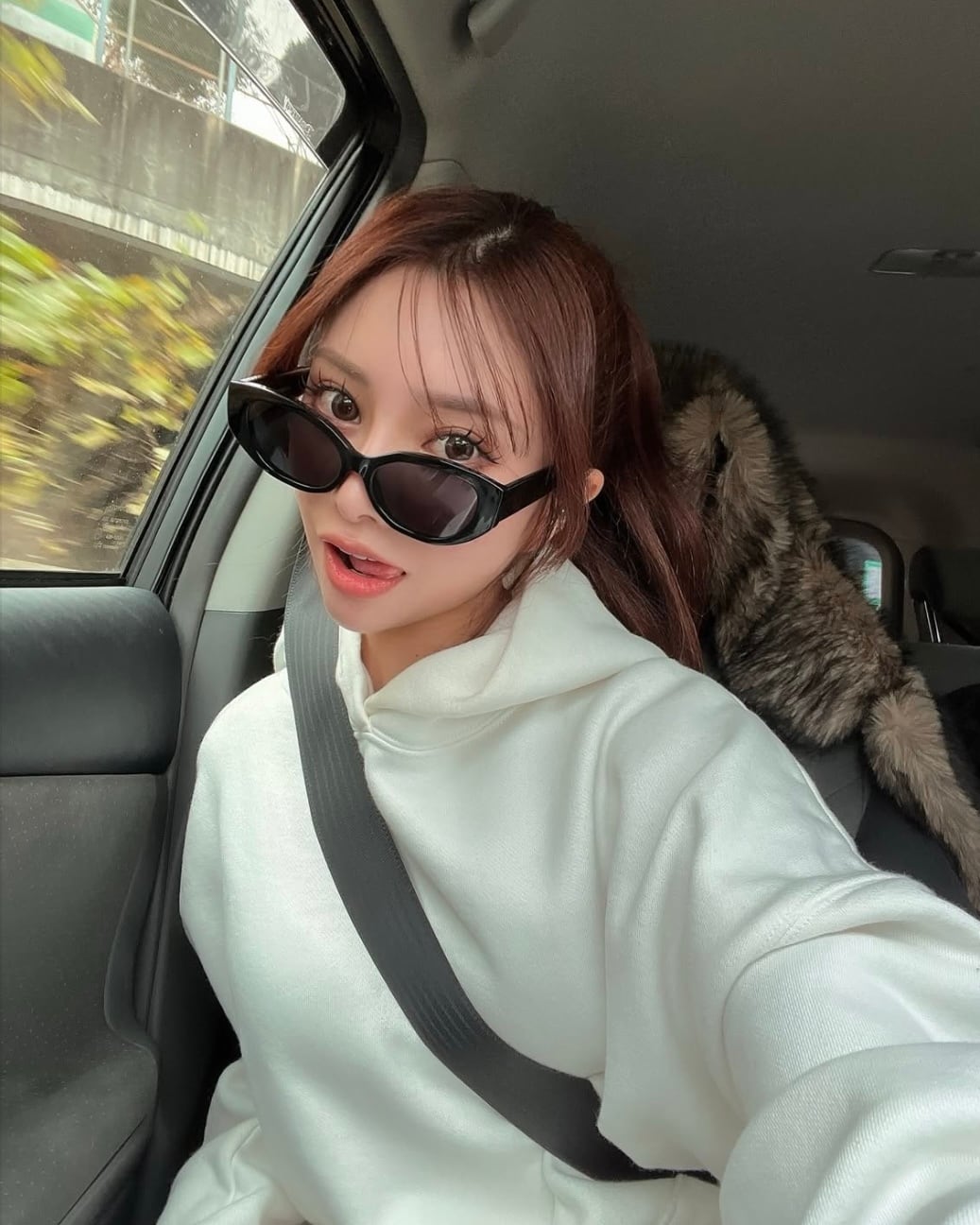 3colors】cateye 4 sunglasses | FLEX公式ショップ / サングラスの