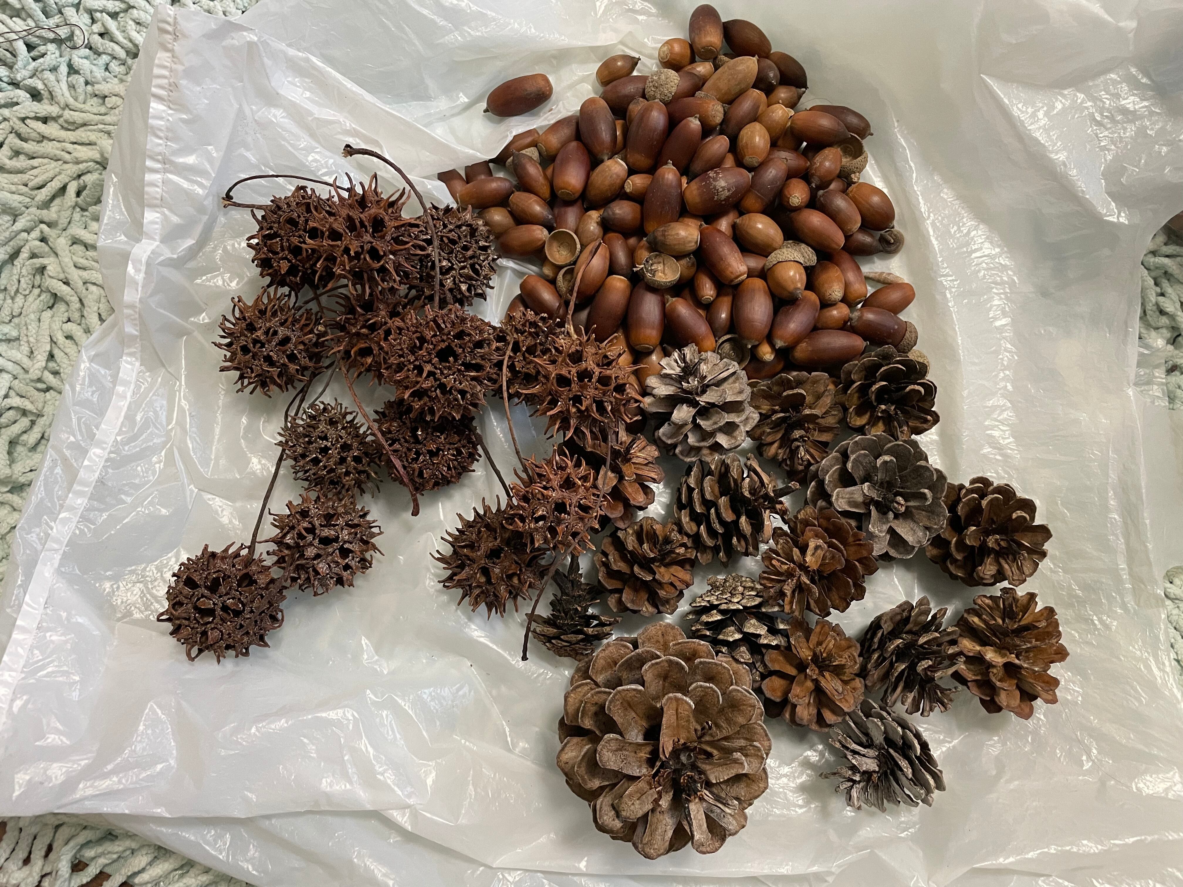 738c87e23ba7921b5d77bf2b10b25b