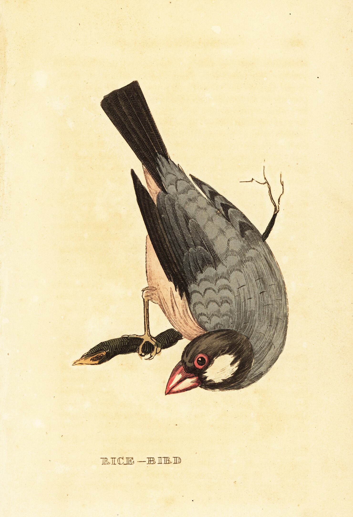 水彩画 鎌倉円覚寺2016年作 原画 額縁付き F6号 水彩画 鎌倉円覚寺