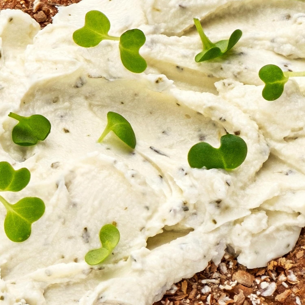 フランス産 ソワニヨン シェーブル ガーリックとハーブの山羊乳チーズ スプレッドタイプ  140g French Chevre Soignon  Goat Cheese with Garlic and Herb 140g