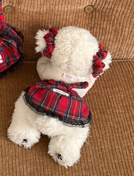 予約【tak!tak!tak!tak!】Winter Tartan Check Series Skirt (2color)