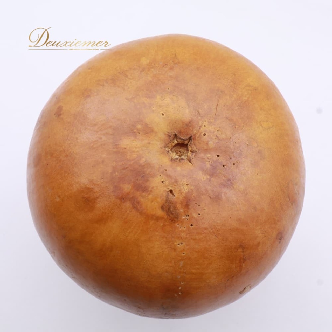 フラダンス 小物 イプ ひょうたん ブラウン系 楽器 茶 小物 小道具 光沢 紐 袋 ケース セット タヒチアン タヒチ 練習 レッスン 舞台 ステージ 音楽 ハワイアン アロハ ダンス小物 ナチュラル 落ち着いた色 ベージュ系 オレンジ系