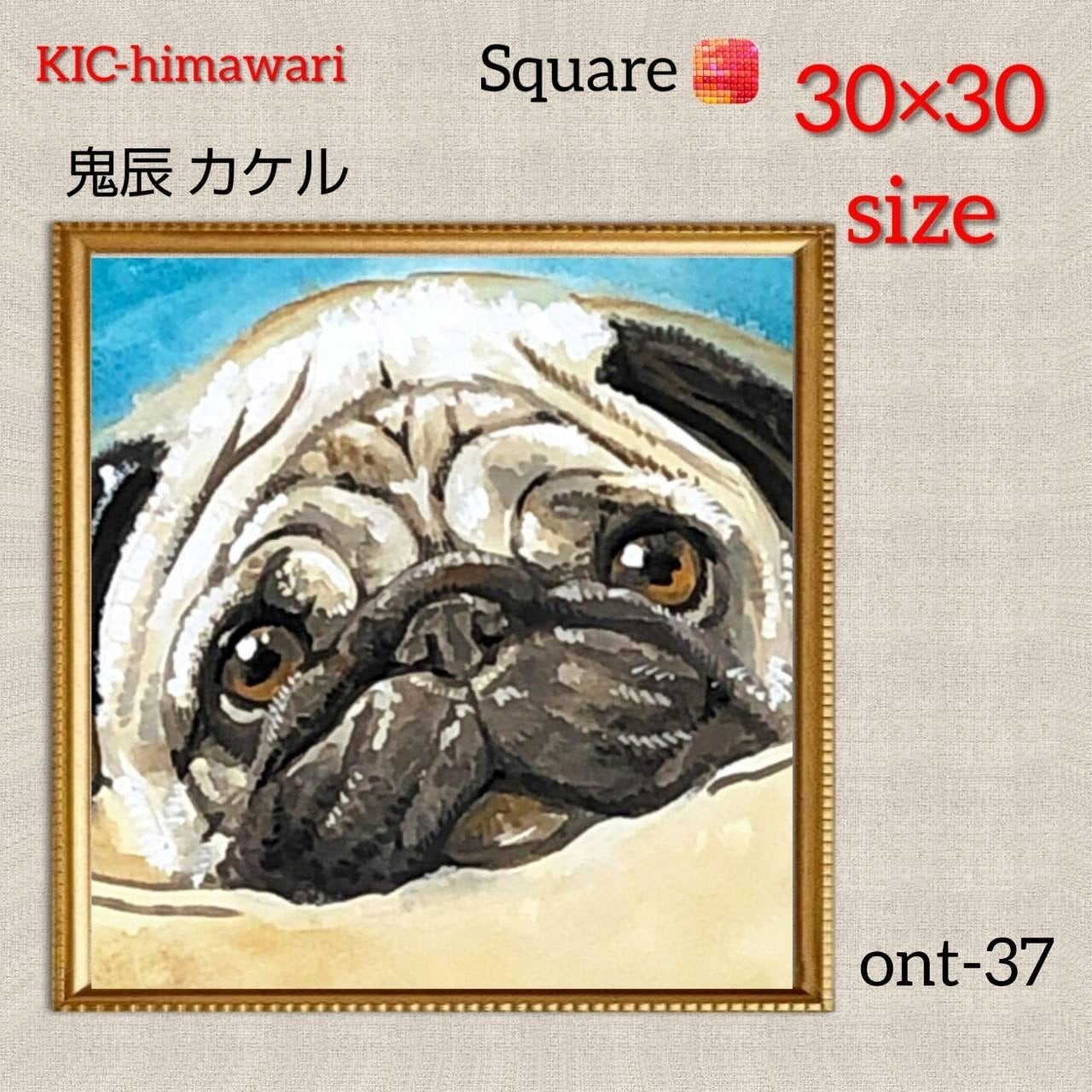 30×30サイズ 四角オーロラビーズ3色&フェアリー3色入【ont-37】ダイヤモンドアート