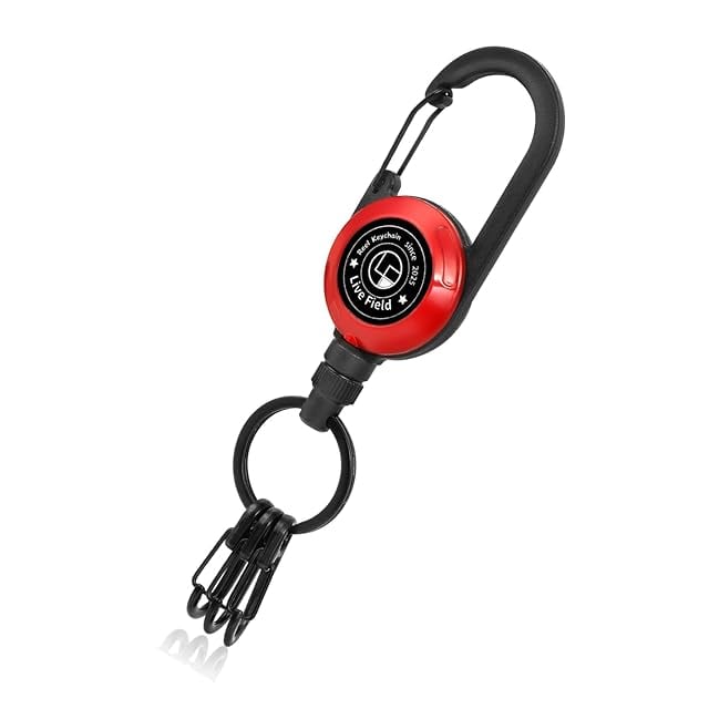 CITROEN シトロエン 動く ハイドロ レア ブルボンキーホルダー | Pay ID