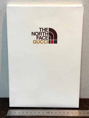 THE NORTH FACE × GUCCI  カタログ