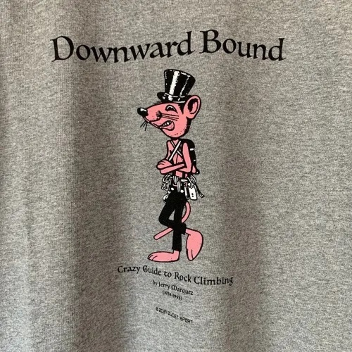 TACOMA FUJI RECORDS Downward Bound TEE ジェリー鵜飼 アイスグレー 