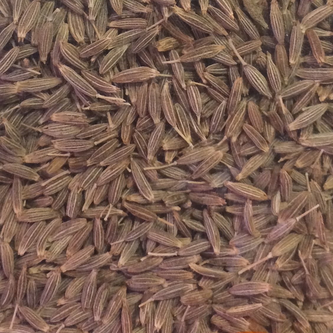 クミンホール cumin whole ยี่หร่า 100g | Asian Marche(アジアン・マルシェ) クミンホール cumin whole ยี่หร่า 100g | Asian Marche(アジアン・マルシェ)