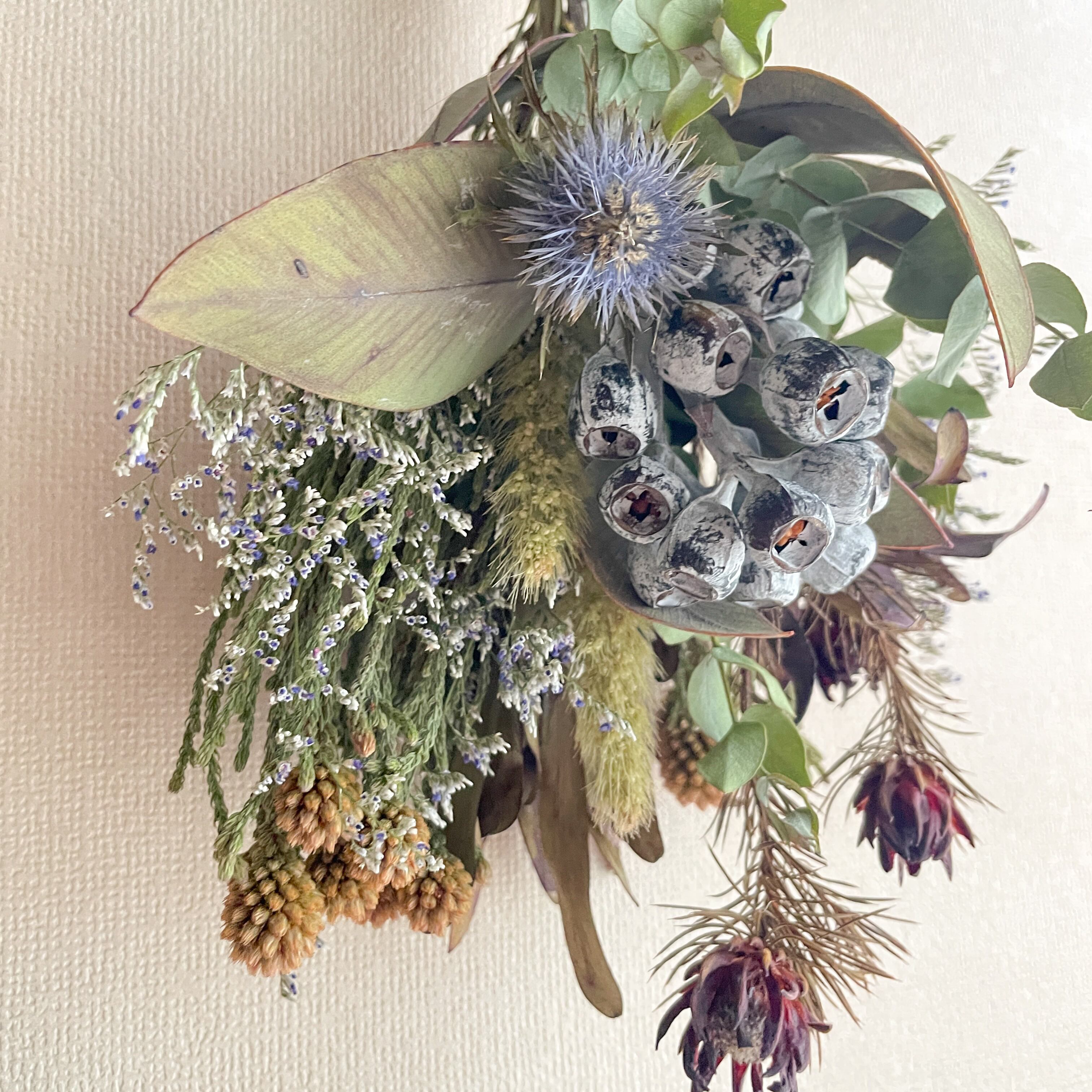 バンクシアとテトラゴナのアンティーク風スワッグ アンティーク ドライ  