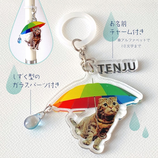 【チャーム】うちのこあんぶれにゃチャーム