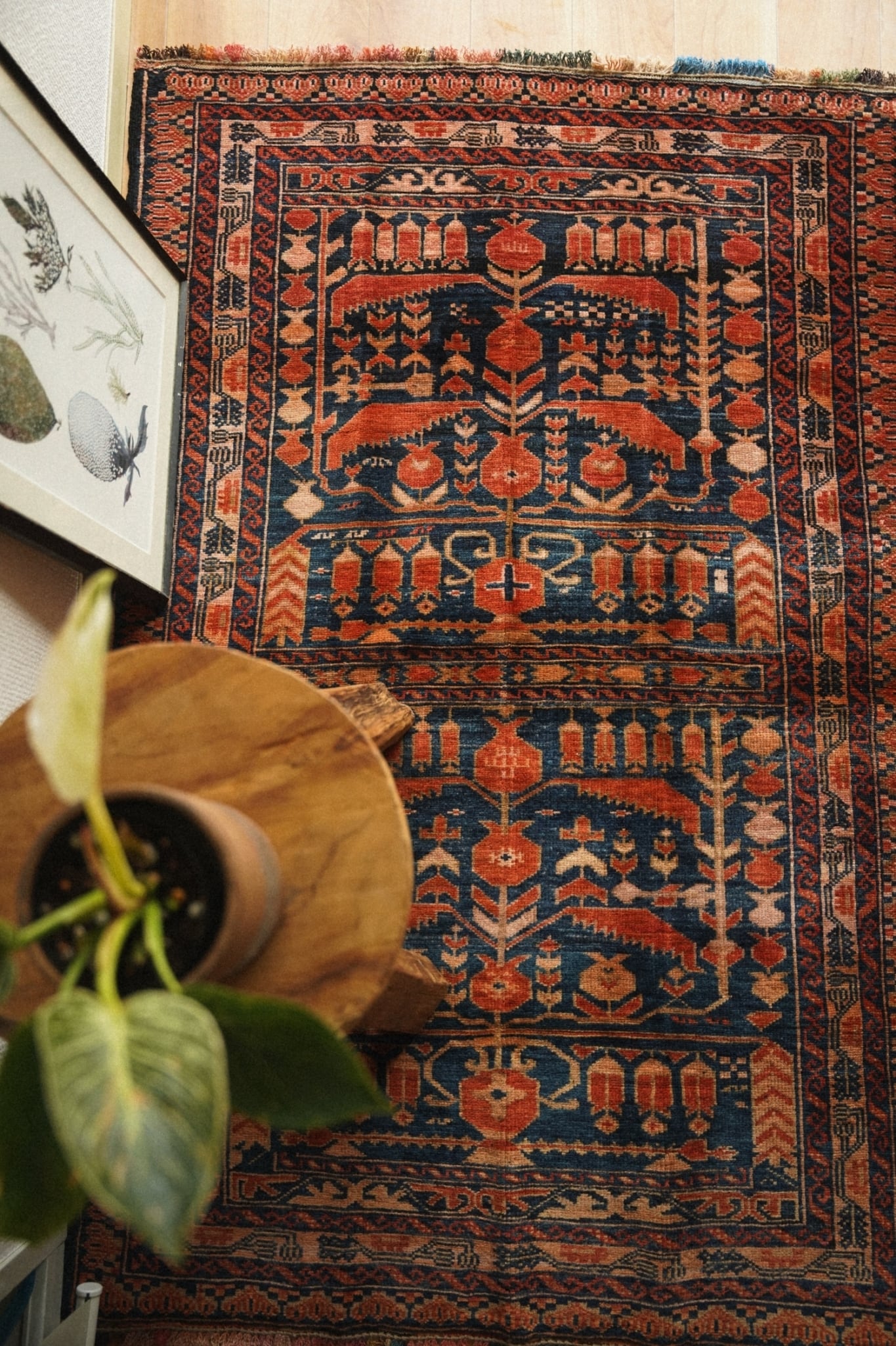 1423-Vintage Turkmen Ali khoja rug | 手織りのヴィンテージラグ専門