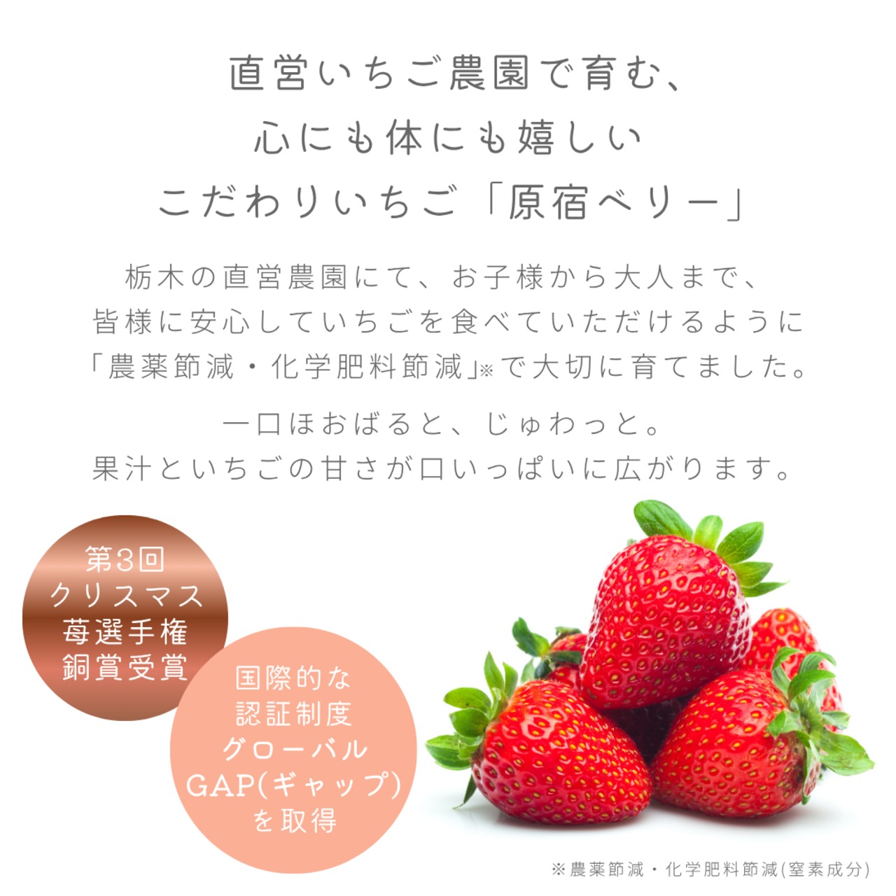 おすすめギフトBOX＜お好きなフルーツポンチと原宿ベリーのパウンドケーキセット＞