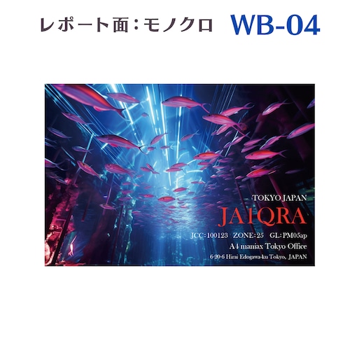 QSLカード　デザイナーズカード　WB04　レポート面あり　100枚～