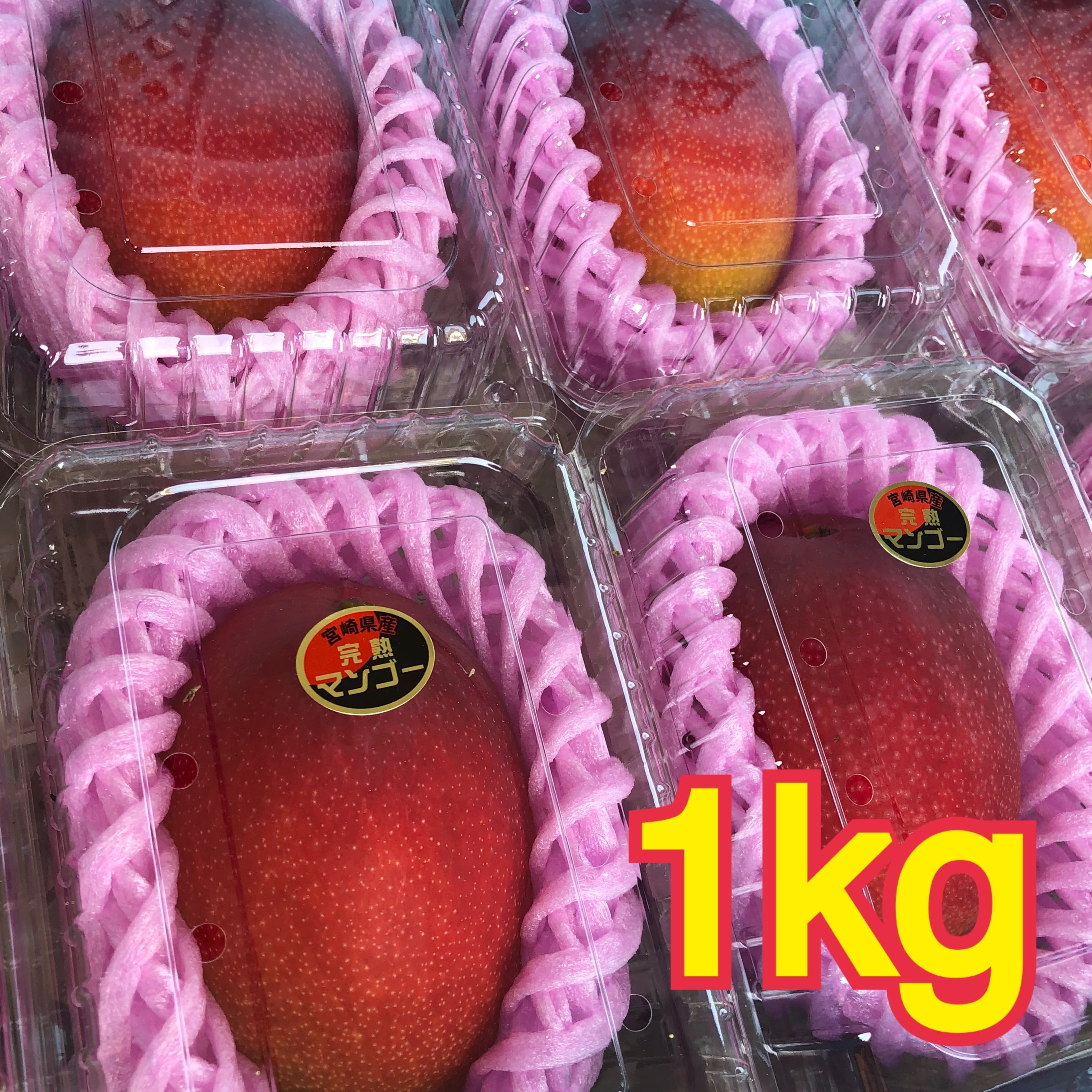 完熟マンゴー 1kg 3〜4玉 フルーツパック詰め | AKAIKE FARM
