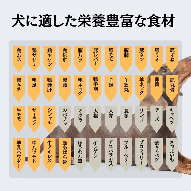 maskota 無添加 手作り 国産鶏むね肉と野菜 スナック ペットおやつ 100g