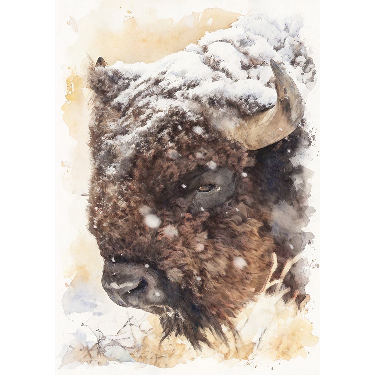 絵画 動物 アメリカバイソン インテリアアート額付き 水彩画・油絵調
