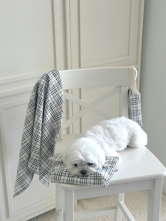 〈即納アイテム〉EYOU / ソフトデイズクールピロー- ブラックチェック