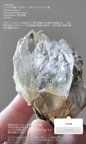 ⭔ お客様専用ページ ⭔ ayako4080様　