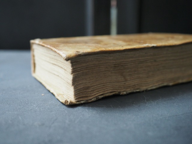 羊皮紙の古書  ⅩⅦ