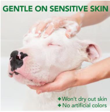 新発売！】犬・VET'S BEST アレルギー用シャンプー/ アレジーイーチリ