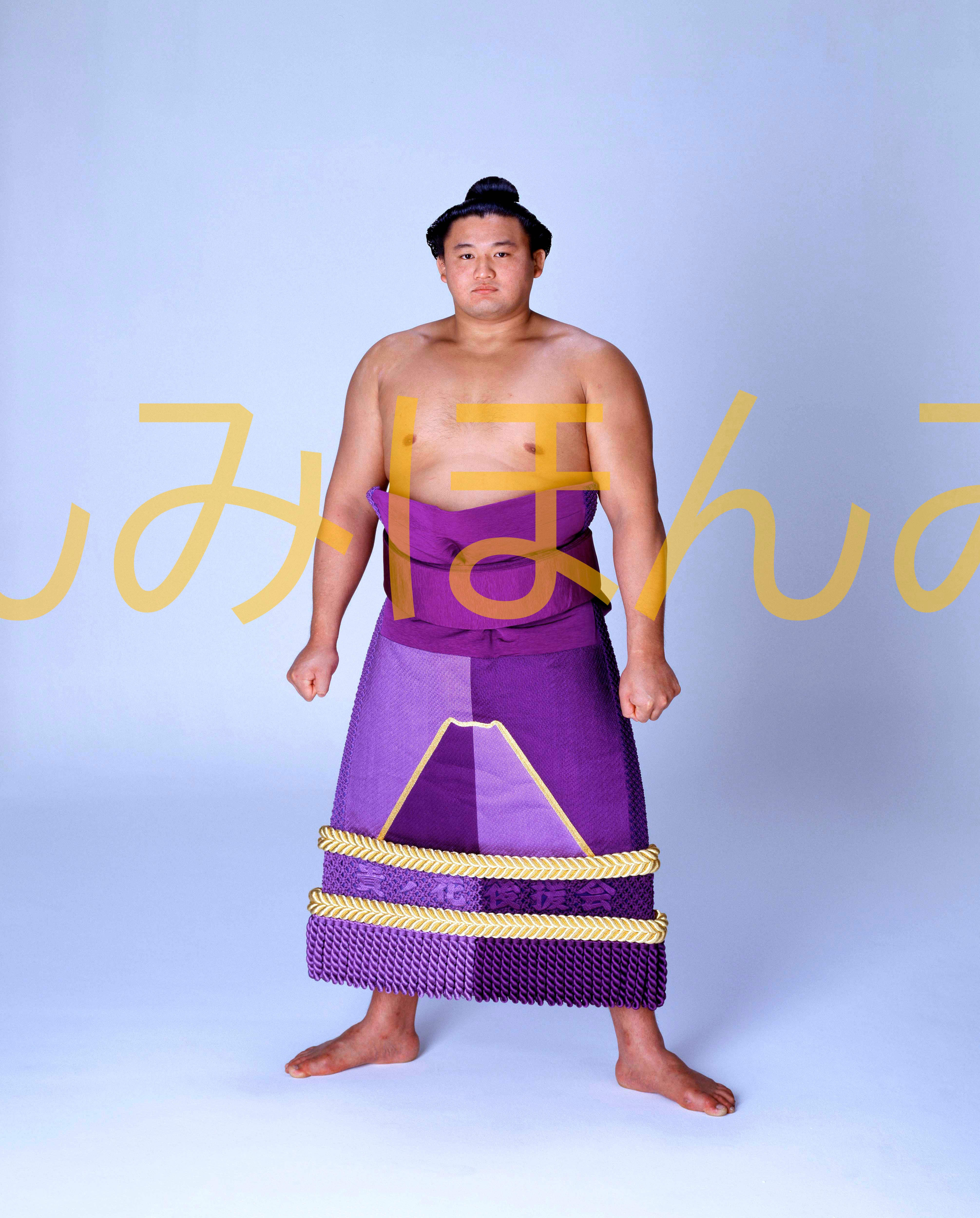 平成5年5月場所優勝 大関 貴ノ花光司関(3回目の優勝)