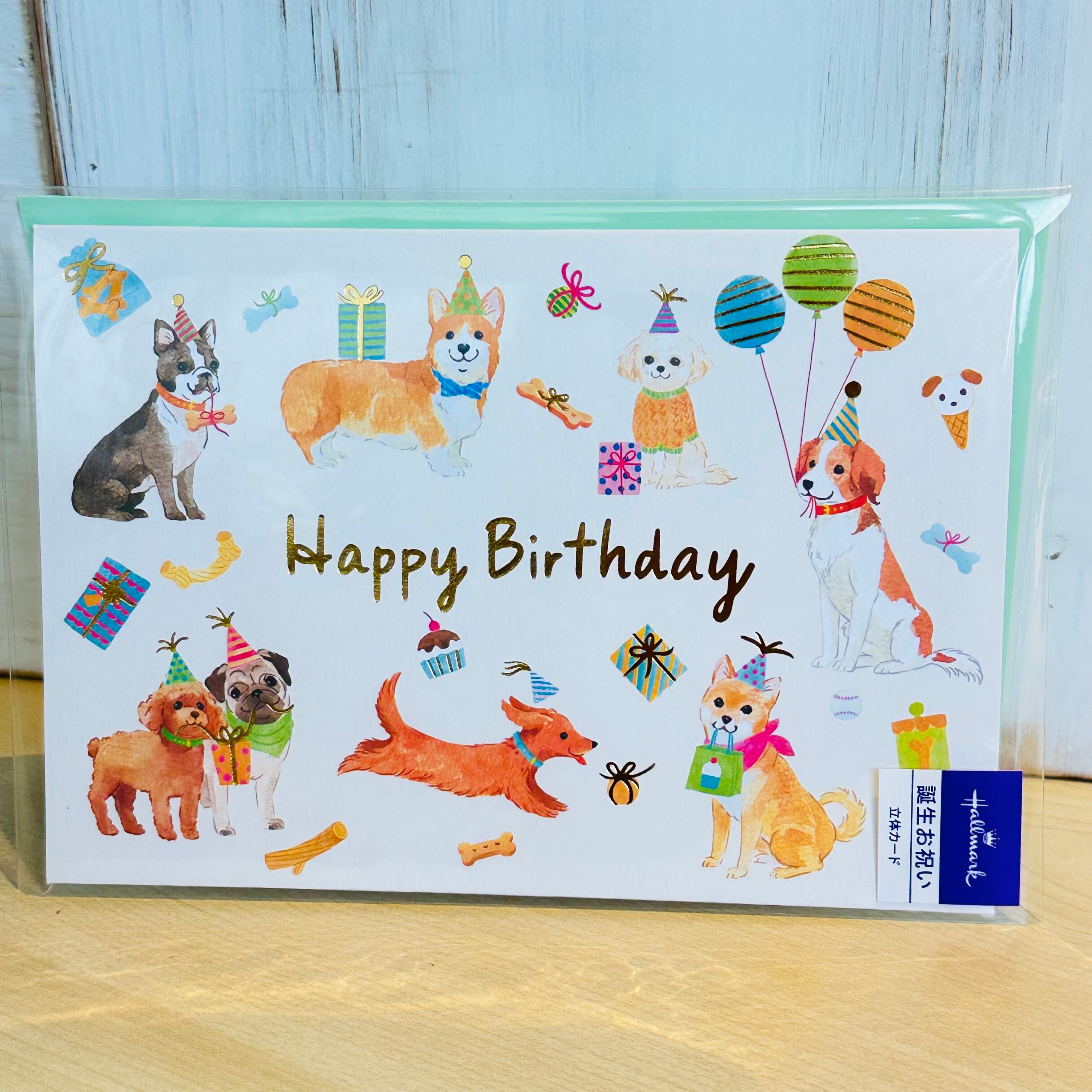 バースデードッグ立体カード 誕生日カード ホールマーク | わんこ雑貨