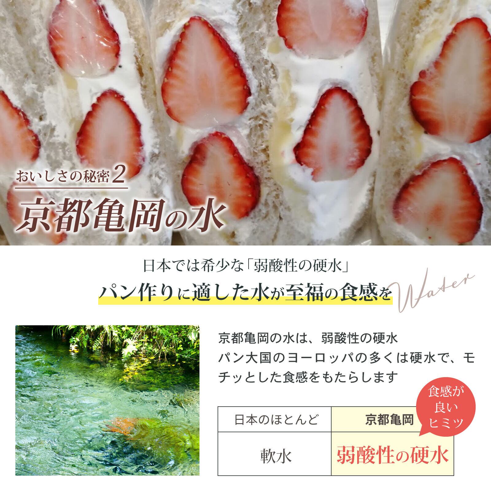 自家製天然酵母 贅沢素材の角食パン 大型サイズ 約450g | 天然酵母パン