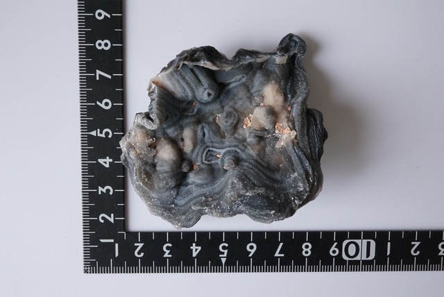 コンシャ・アゲート Concha Agate 705