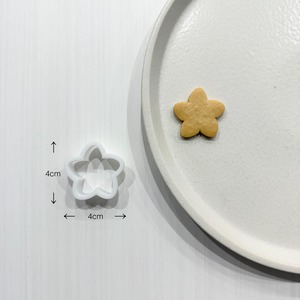 ミニプルメリア