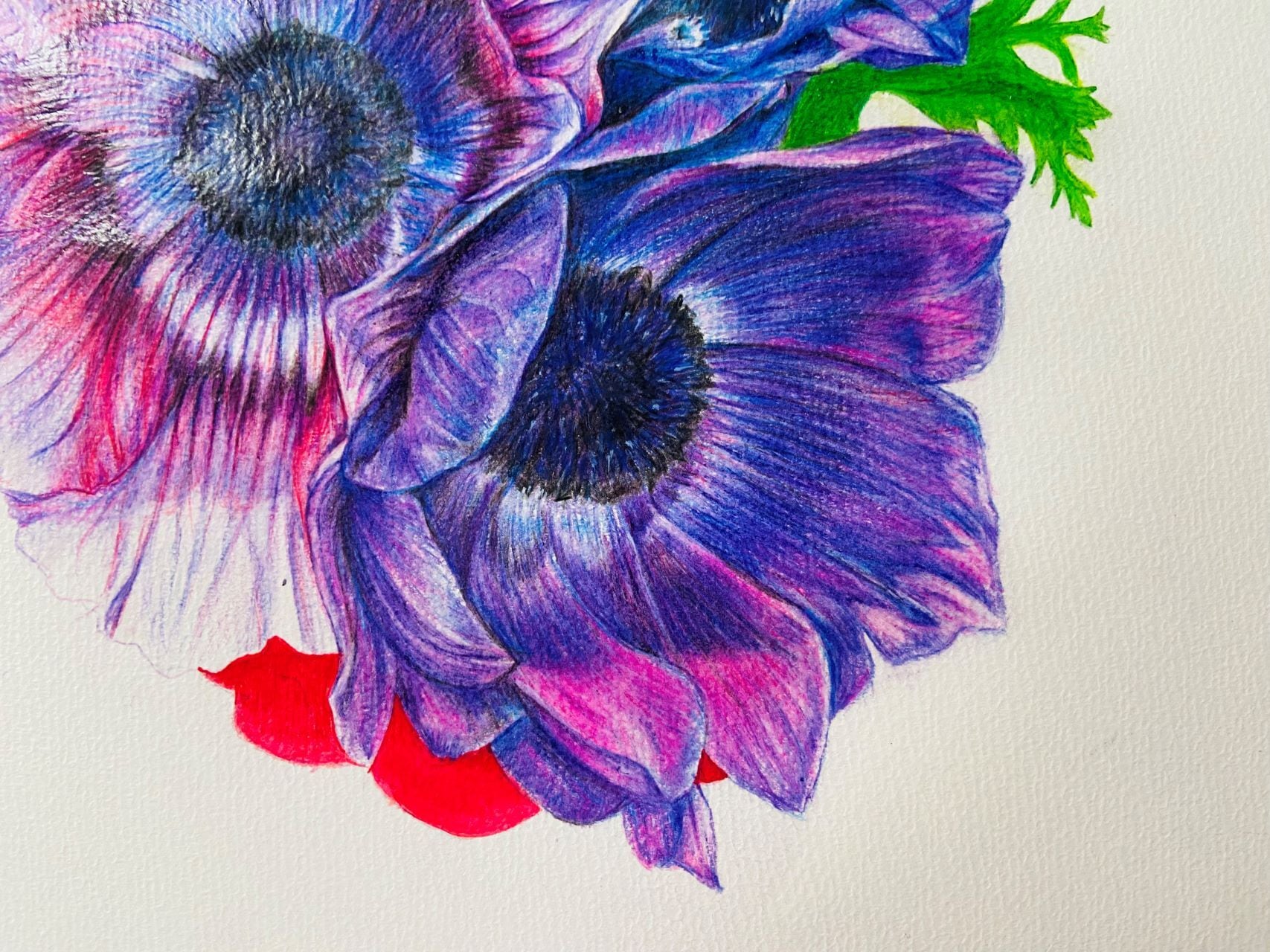 絵画】ボタニカルアート「アネモネ」原画