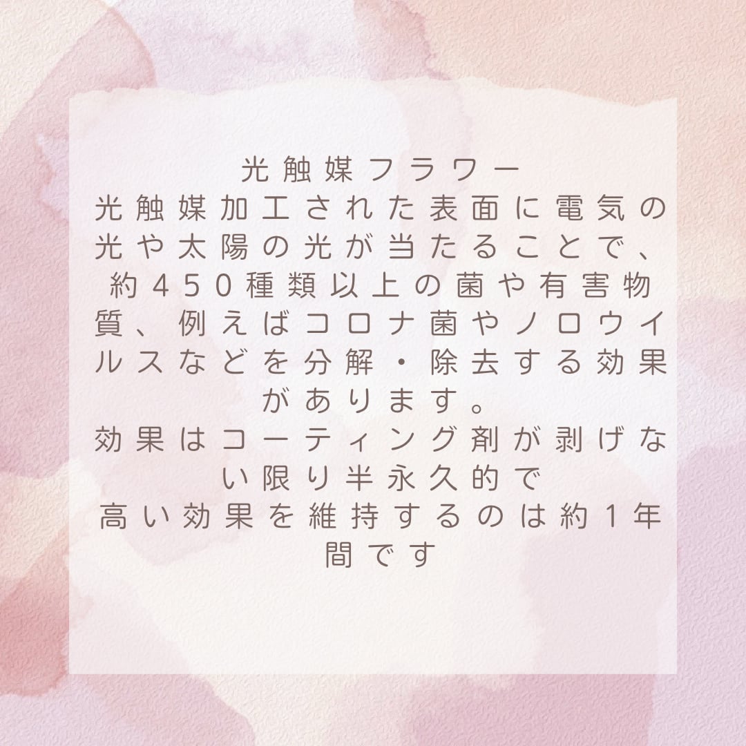 MAY様御確認用 mayoi様ご確認用 MAY 様御確認用♬