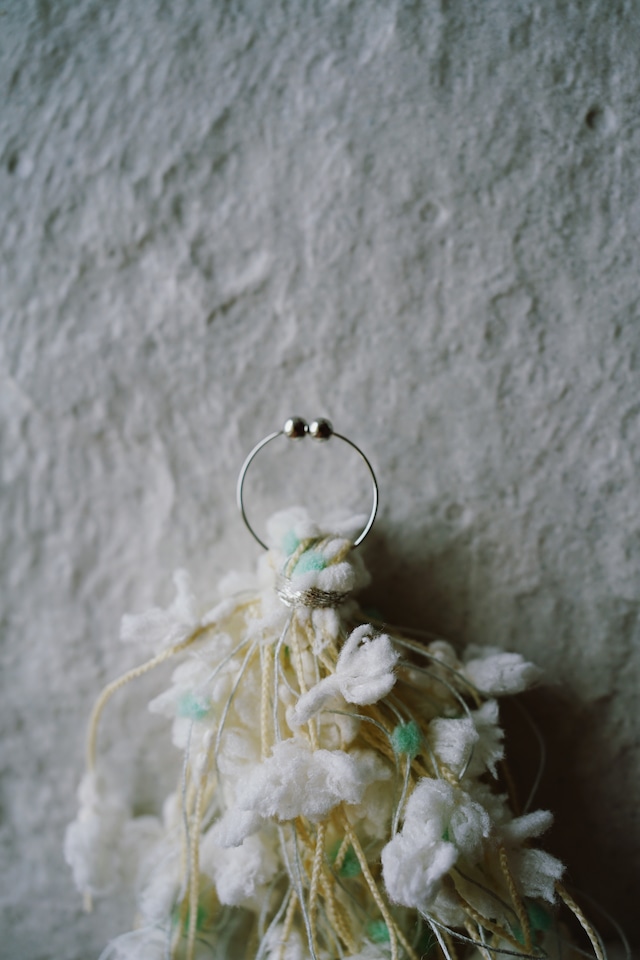片耳earring ♡ ear cuff