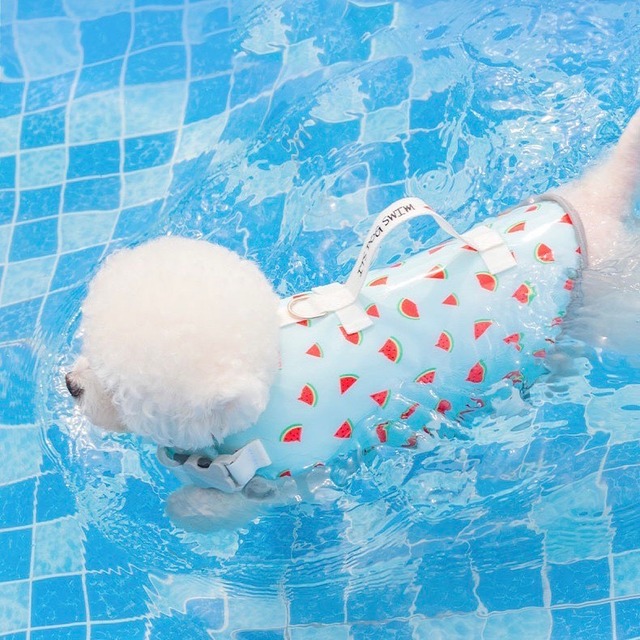 【即納】フルーツライフジャケット