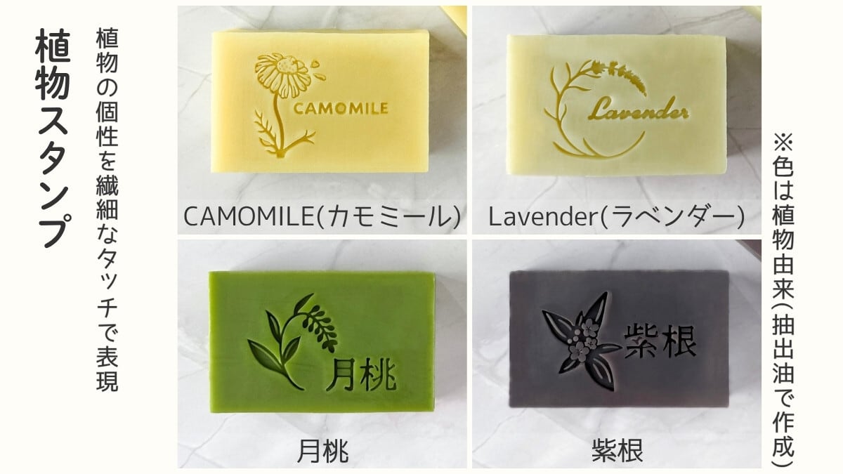 福袋：色と素材を楽しむ植物の恵み