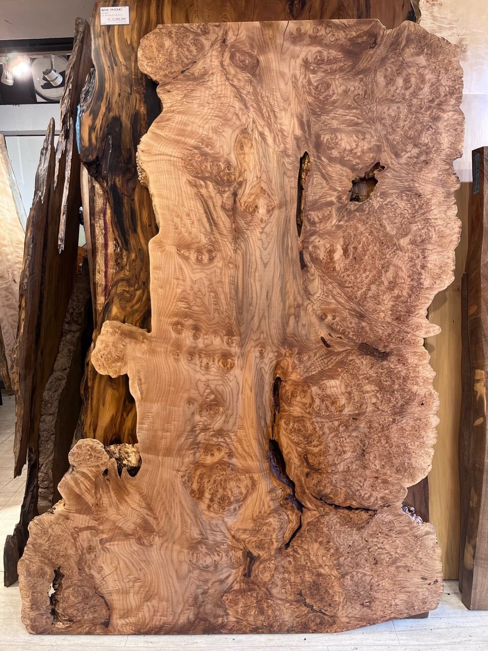 メープル瘤_1980×800-1100-1360×54_浅草本店_テーブル天板/一枚板