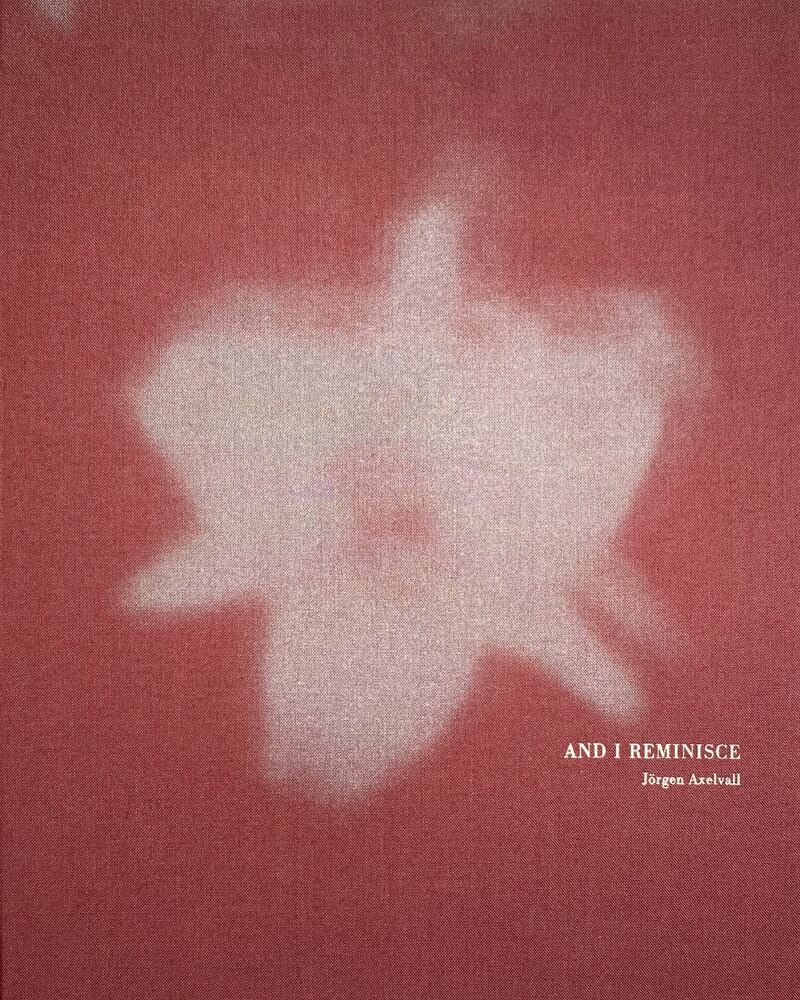 柳沢信 / Untiled / Shin Yanagisawa 通常版 | roshinbooks