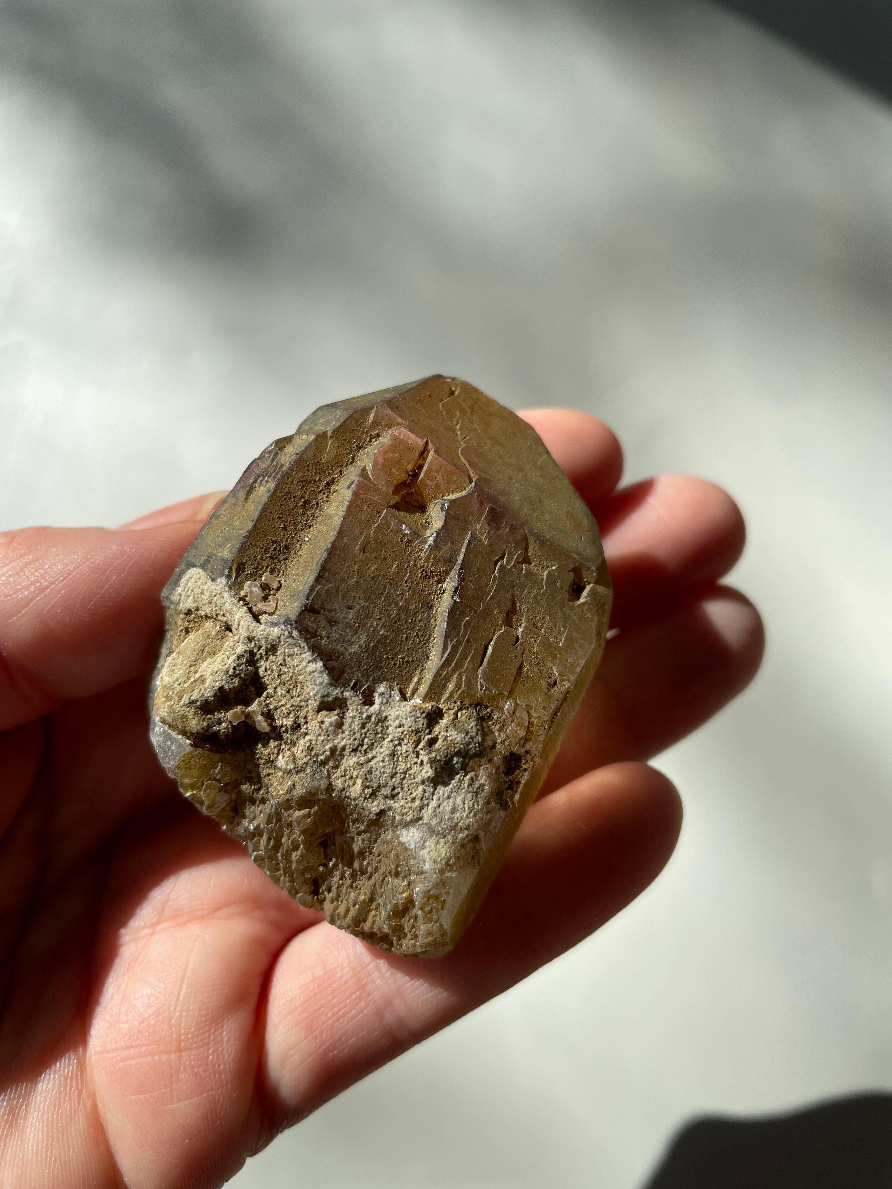 パキスタン　ギルギット　スカルドゥ産　スモーキークォーツ　セルフフィード　カテドラル