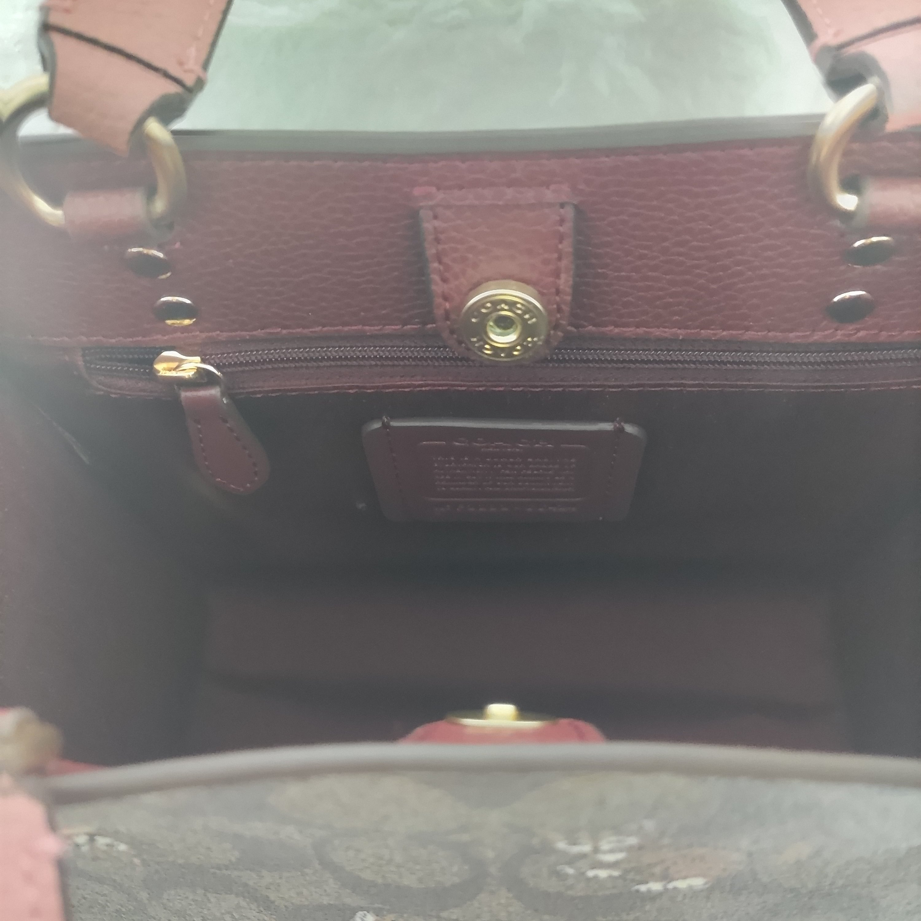 COACH コーチ シグネチャー ダンシング キトゥン プリント 猫 キャット  